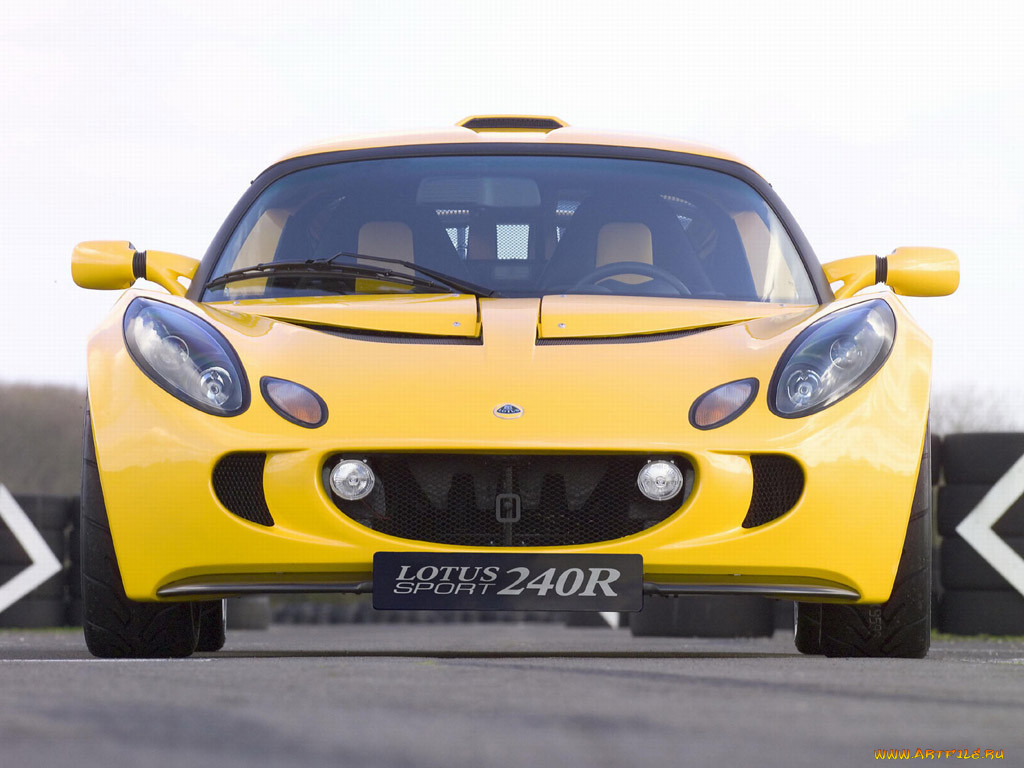 lotus, 